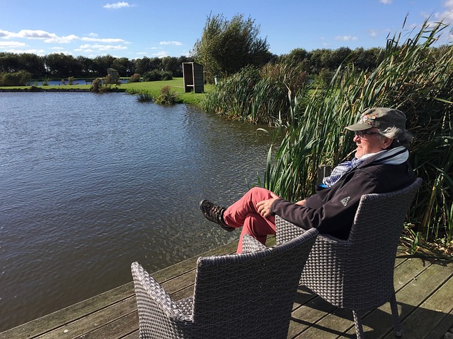 的新宠儿 的新宠儿