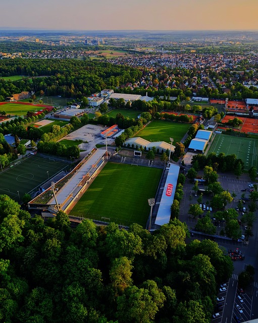 中你争我夺 中你争我夺