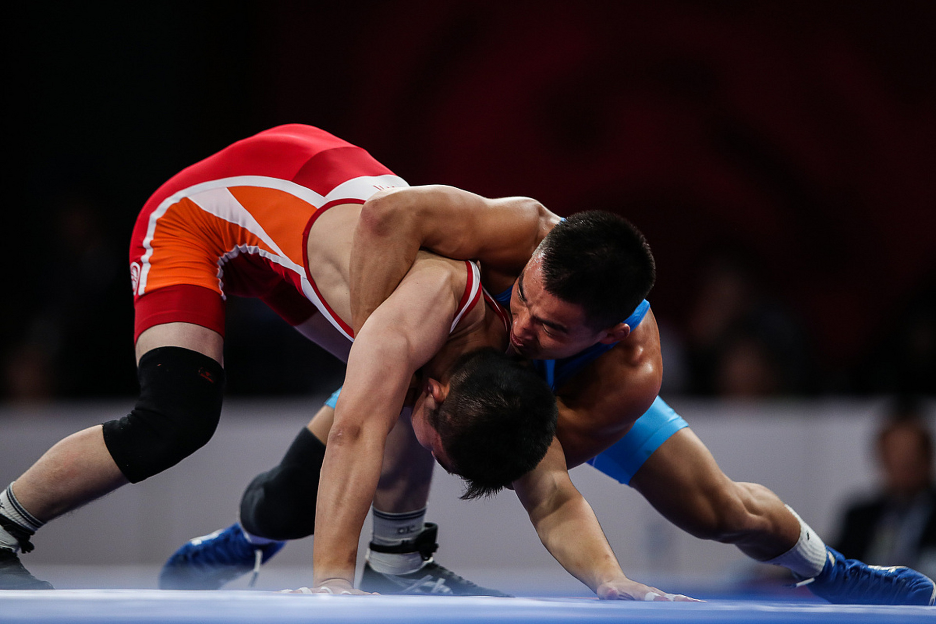 揭示它们在 揭示它们在