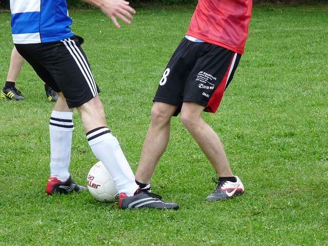 檔發揮出色 檔發揮出色